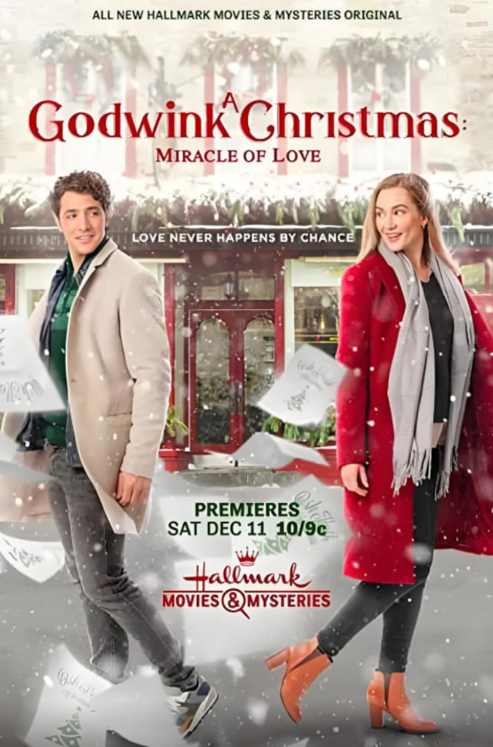 戈德温克的圣诞节：爱的奇迹